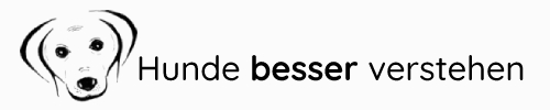Hundebetreuung in Konstanz