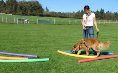 Sinnvolle Beschäftigungen